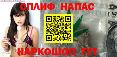 сатива Нальчик