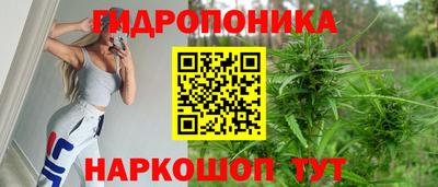 сатива Нальчик