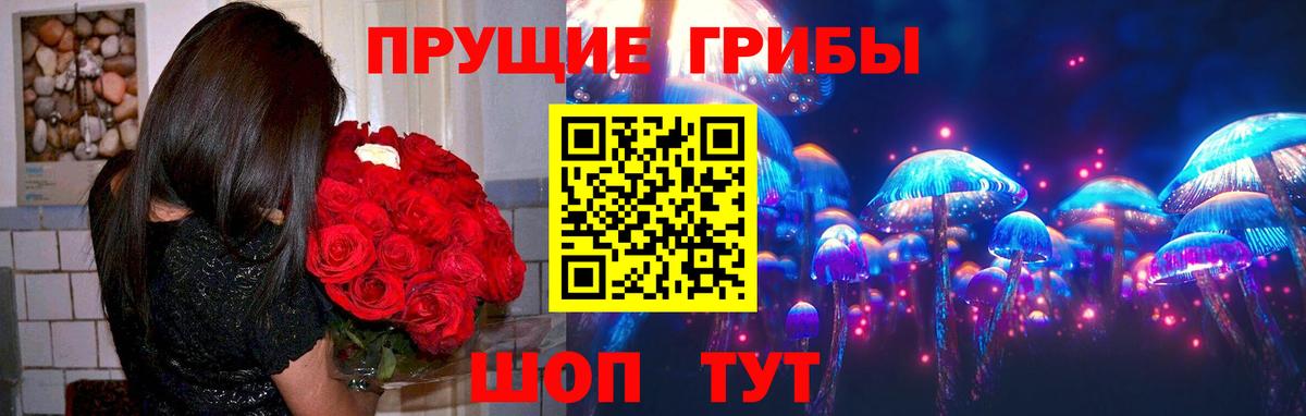 дарнет шоп  Вход с VPN  Химки  Псилоцибиновые грибы GOLDEN TEACHER 
